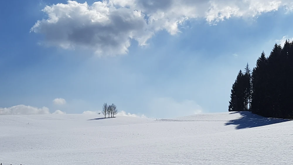 dicembre_691a5467c4960